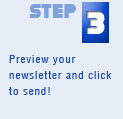 Step 3 - Preview your newsletter and click to send!