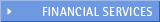 Finance - Financial Services